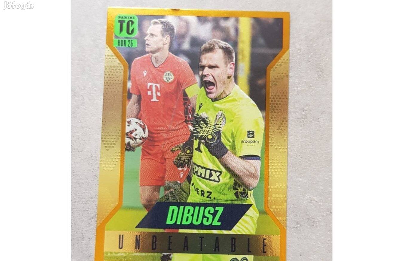 Dibusz gold unbeatable topp class
