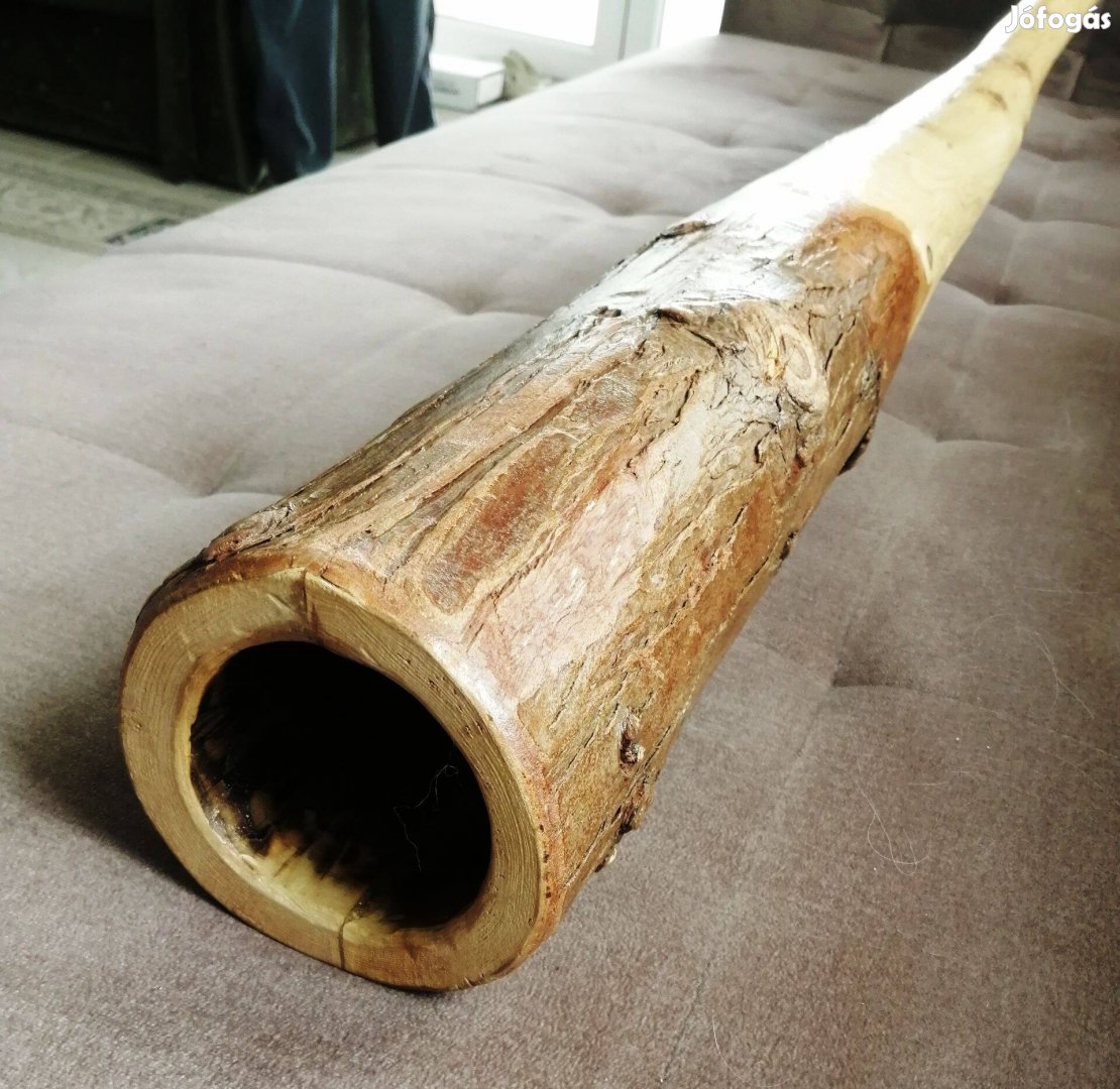 Didgeridoo (tuja C#)