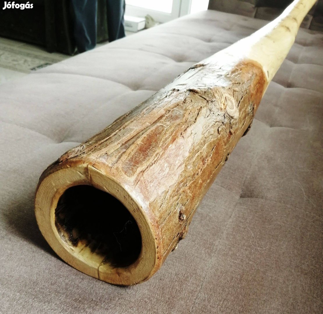 Didgeridoo (tuja C#)