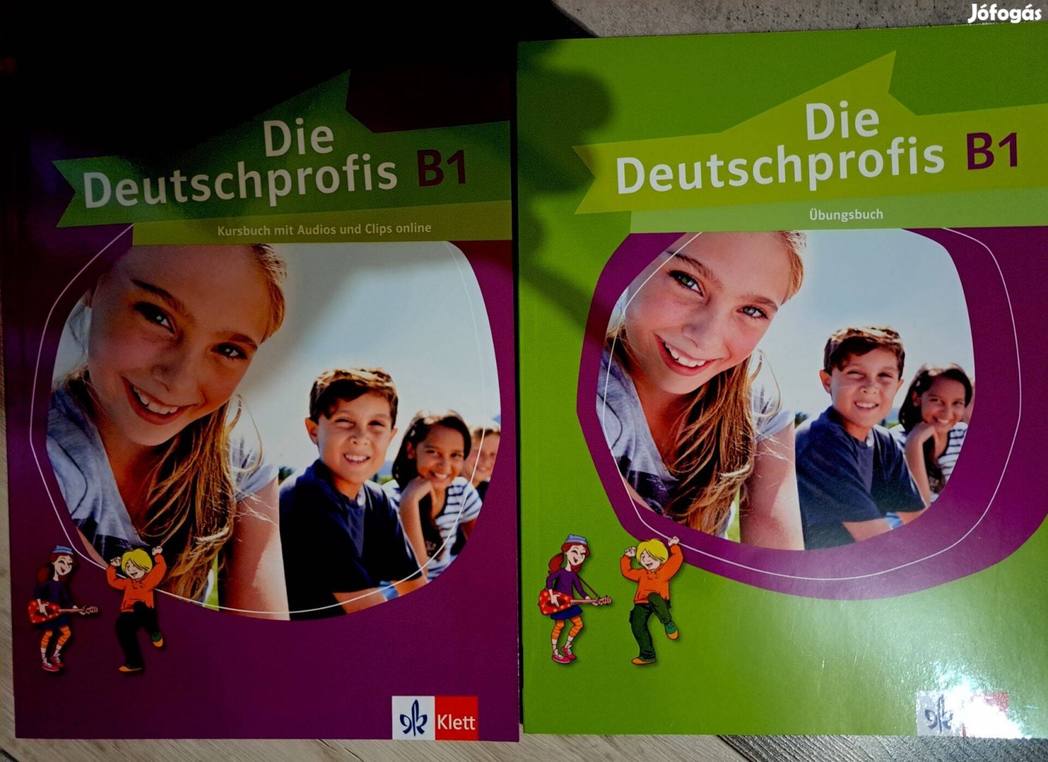 Die Deutschprofis B1