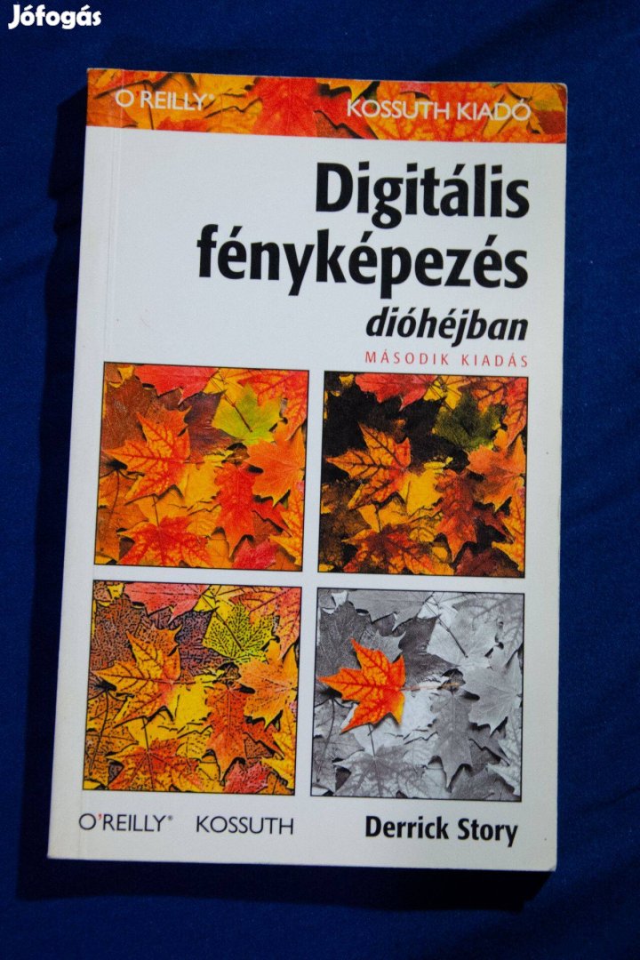 Digitális fényképezés dióhéjban