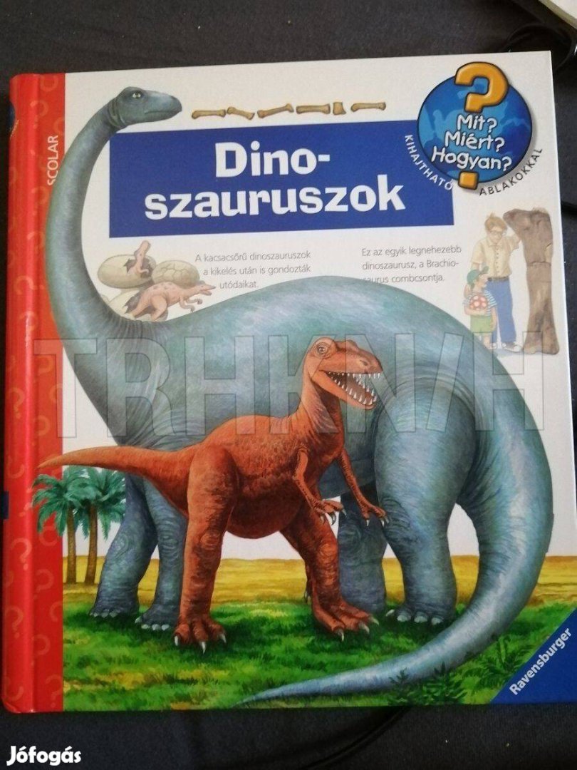 Dinoszaruszok