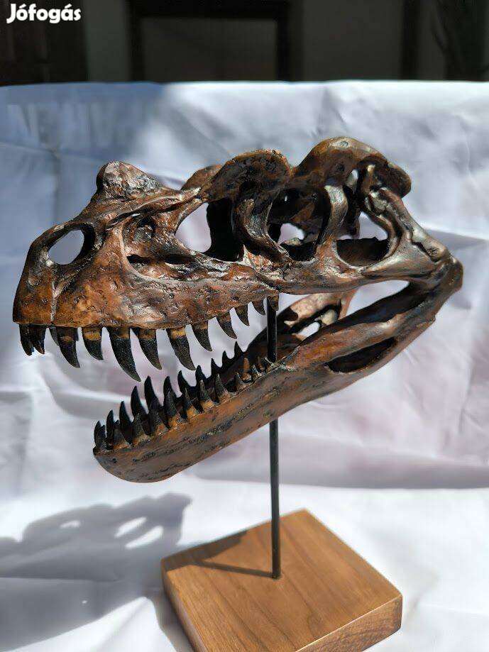 Dinoszaurus koponya másolat eladó!
