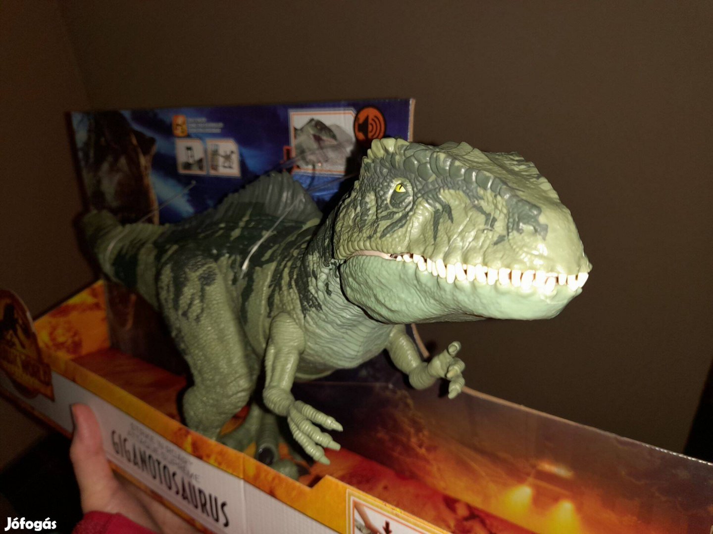Dinoszaurusz - Giganotosaurus