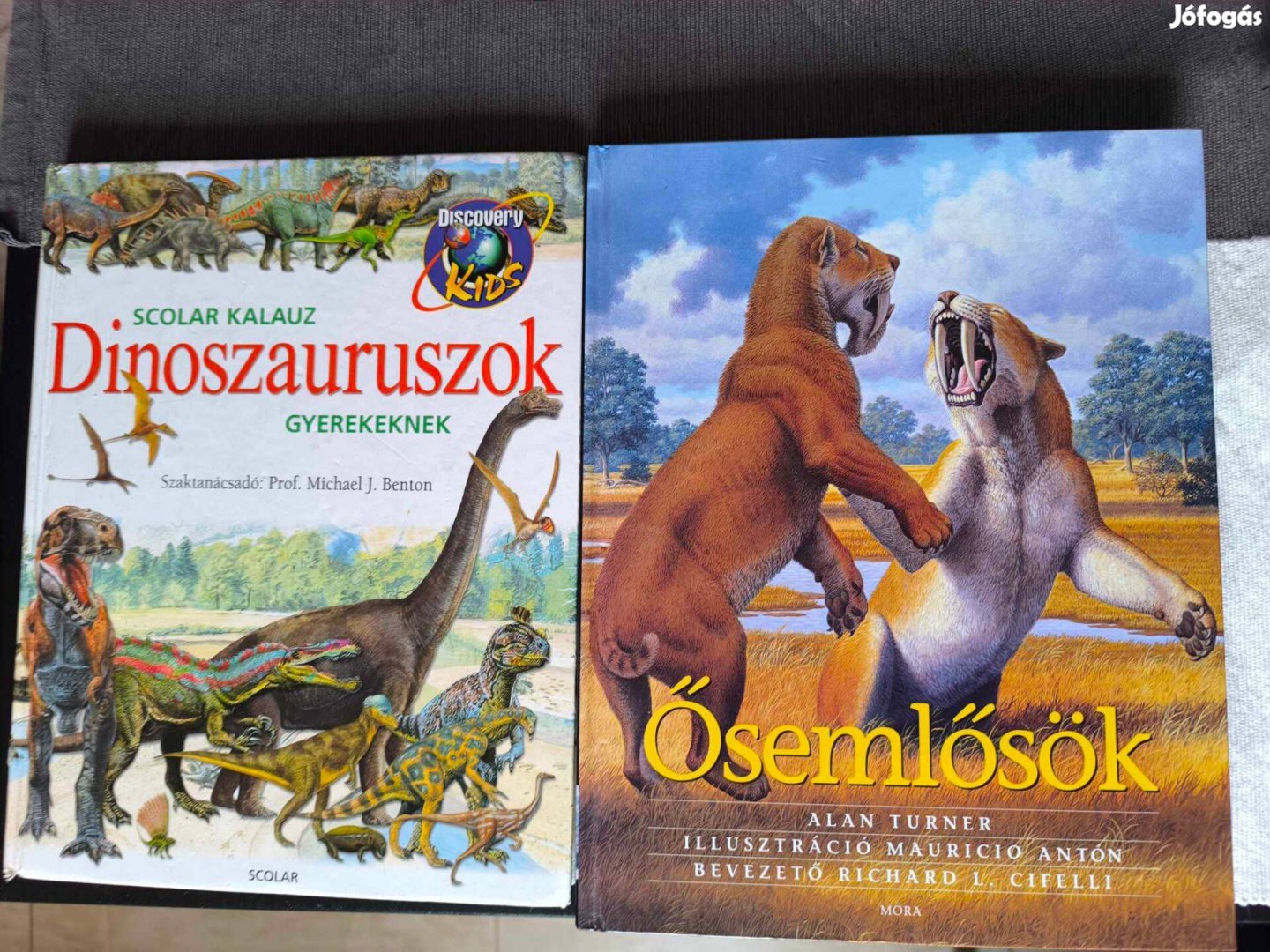 Dinoszauruszok, Ősemlősök színes fotókkal dúsan illusztrált könyvei