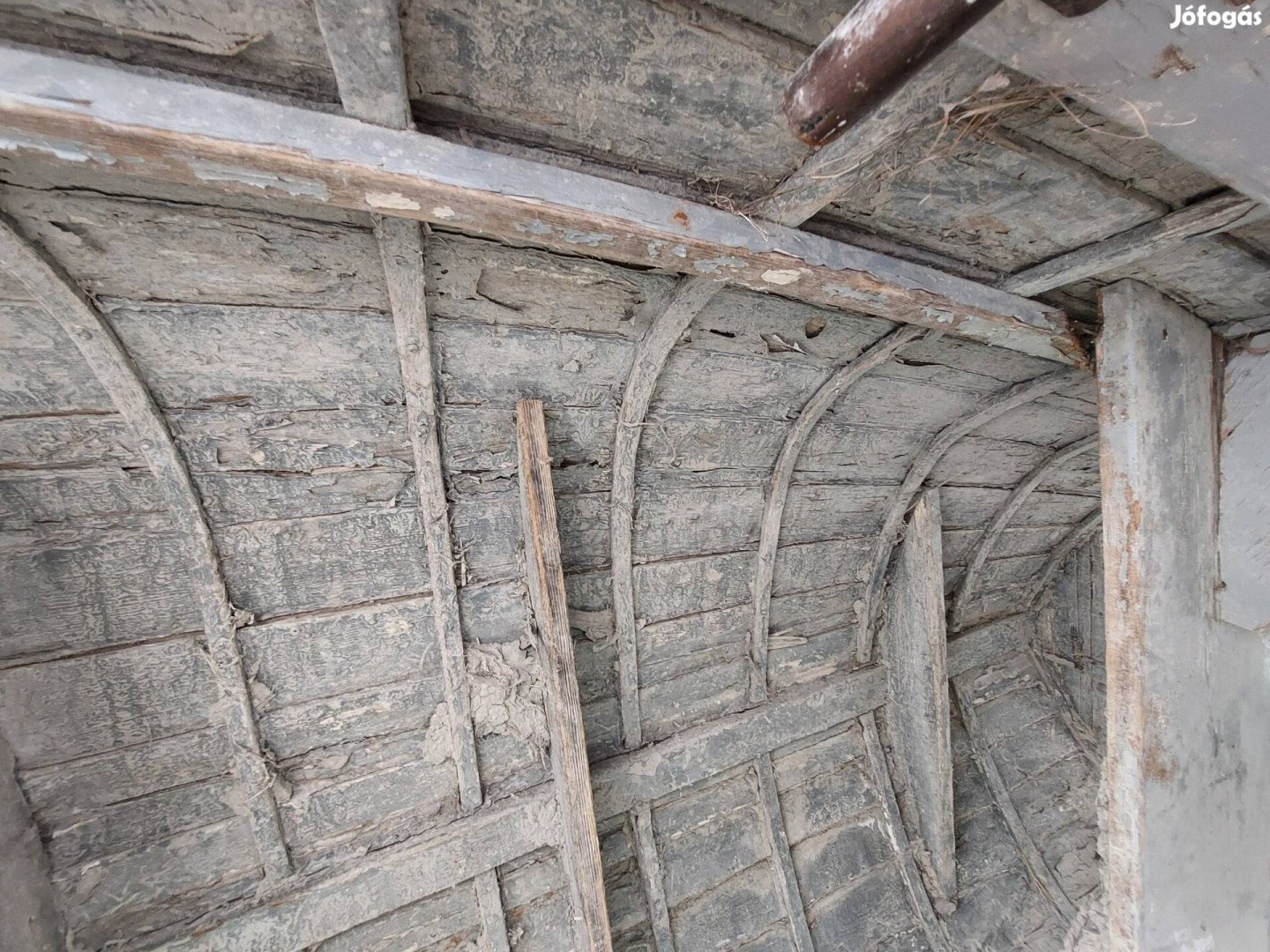 Dióhéj (kívül műanyag) facsónak