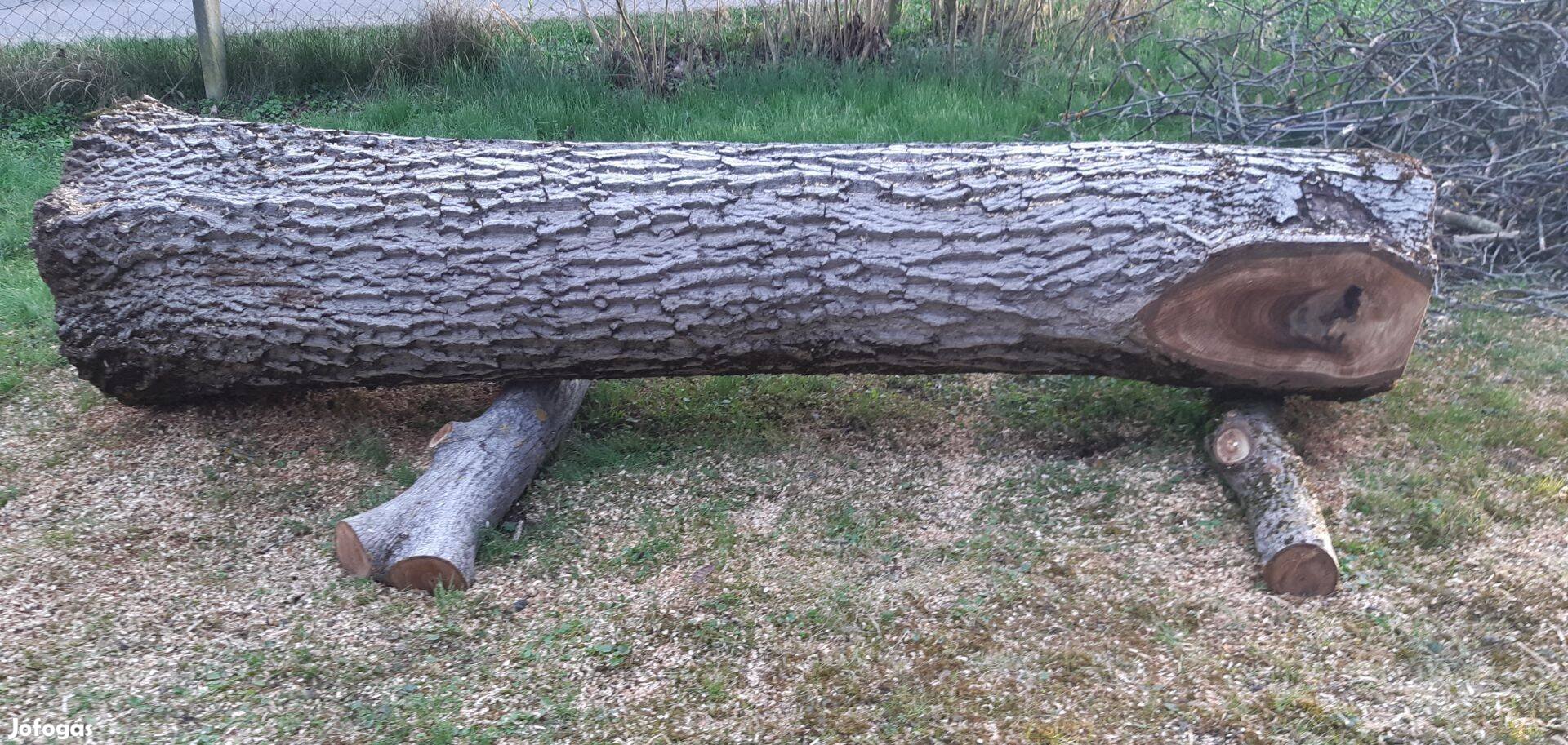 Diórönk, Hossza140 cm, átmérő alul 60 cm, felül 42 cm