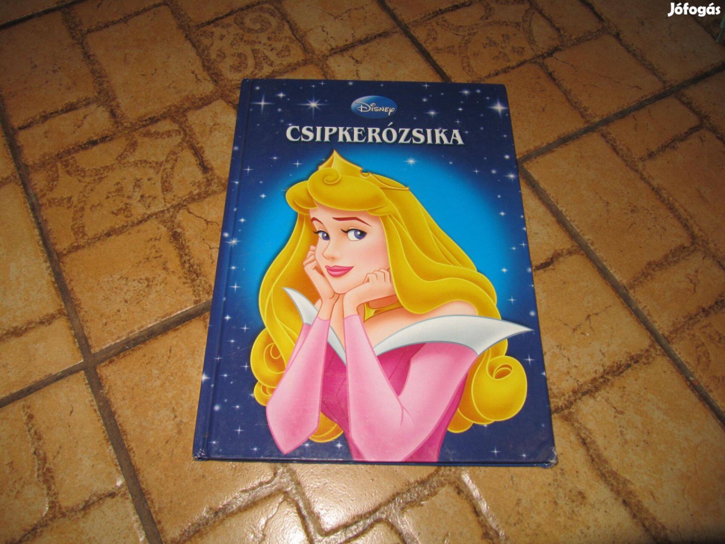 Disney: Csipkerózsika