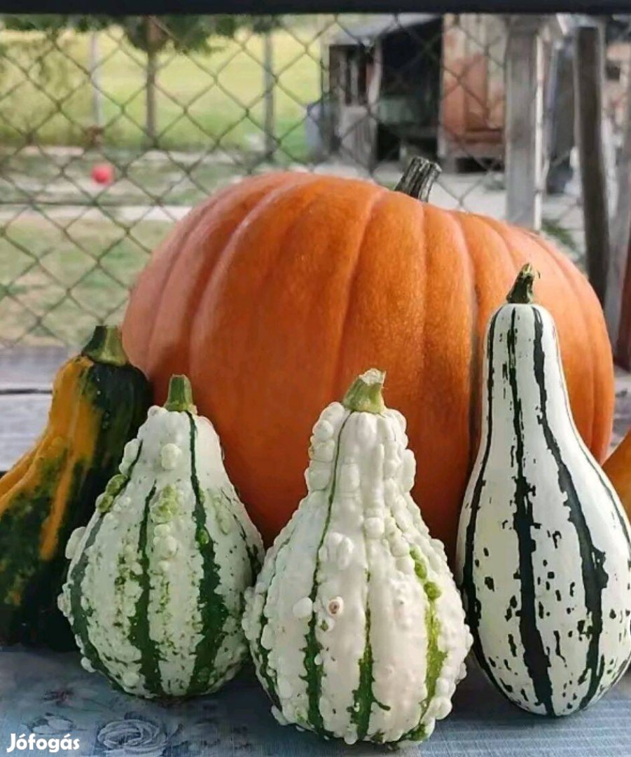 Dísz És Halloween TÖK Eladó !