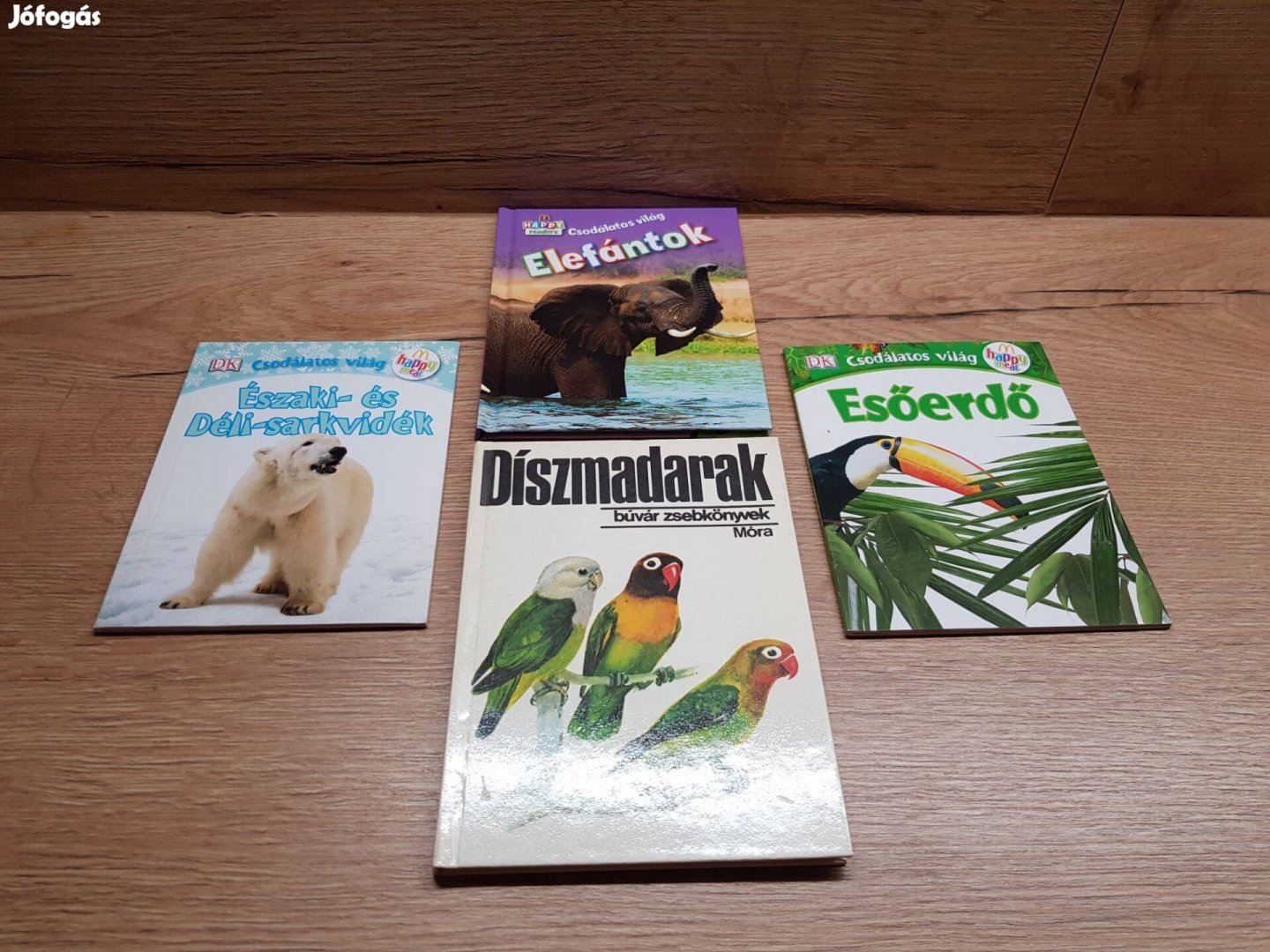 Díszmadarak búvár zsebkönyv Esőerdő Elefántok Sarkvidék 4db