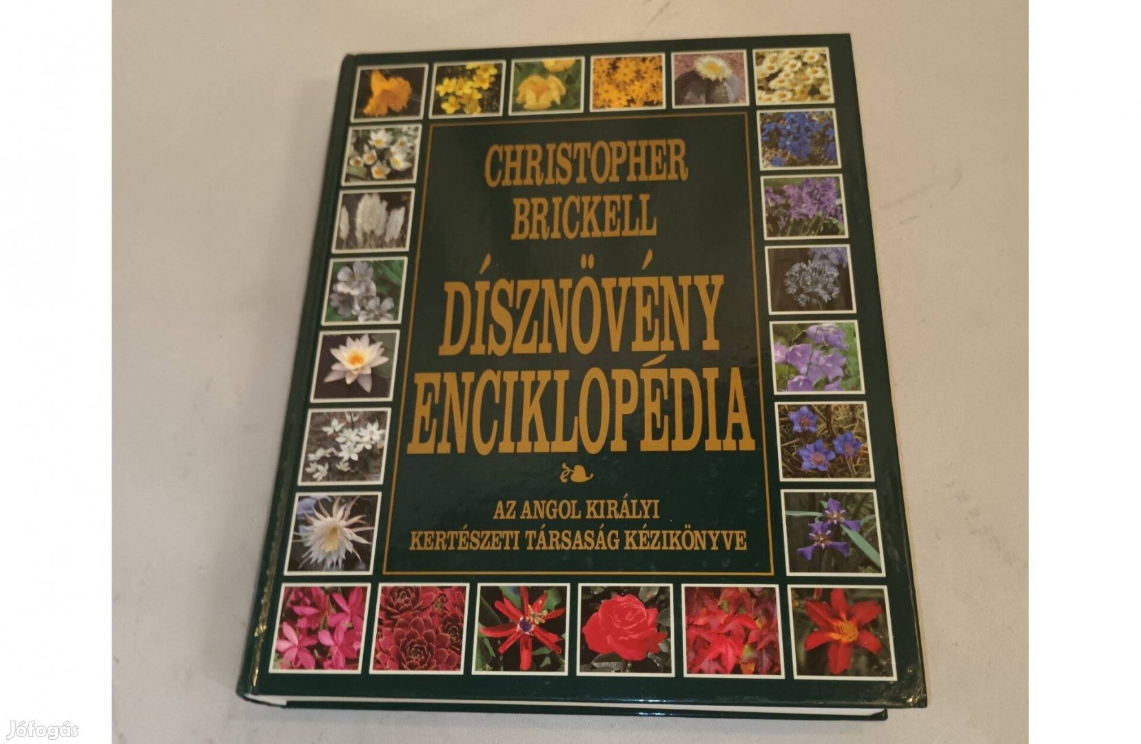 Dísznövény enciklopédia