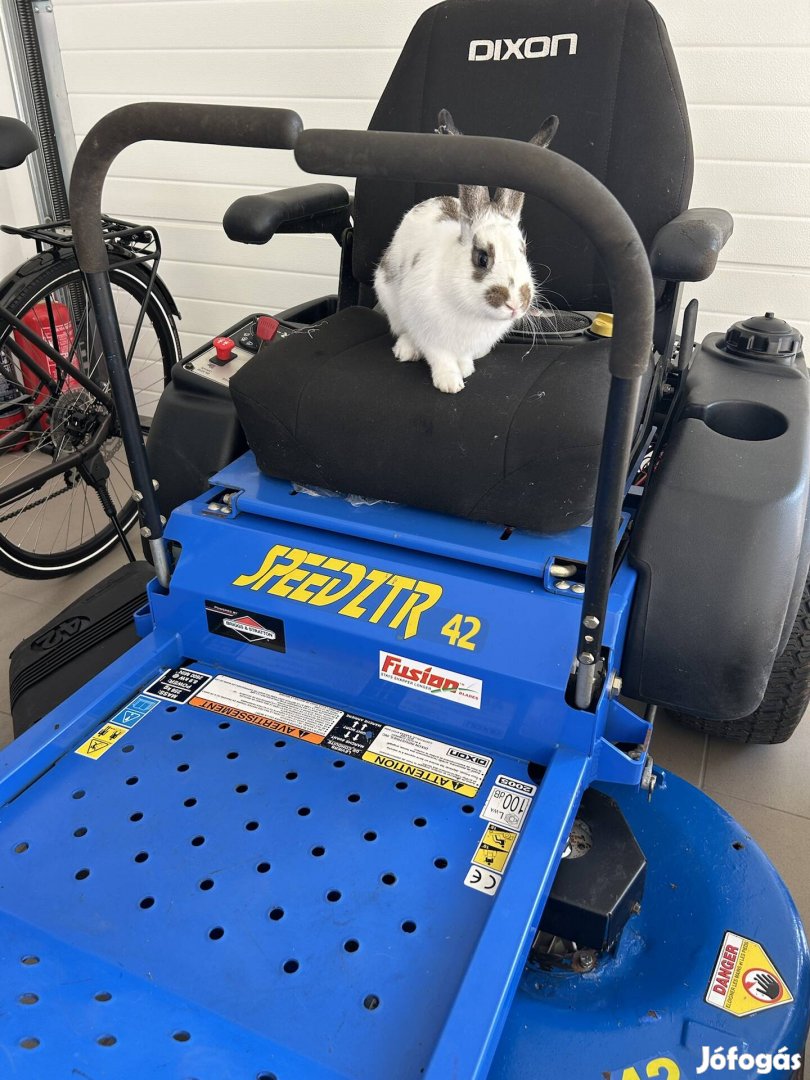 Dixon Speedztr 42 Zero fűnyíró traktor John Deere Honda Husqvarna  
