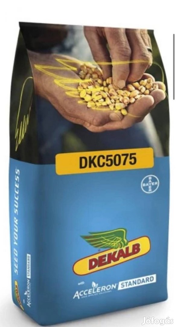 Dkc 5075 vetőmag