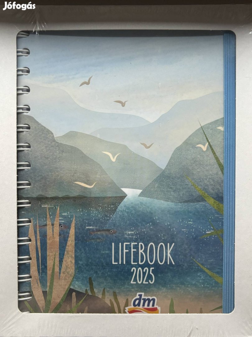 Dm Lifebook 2025 nagyalakú vízpart