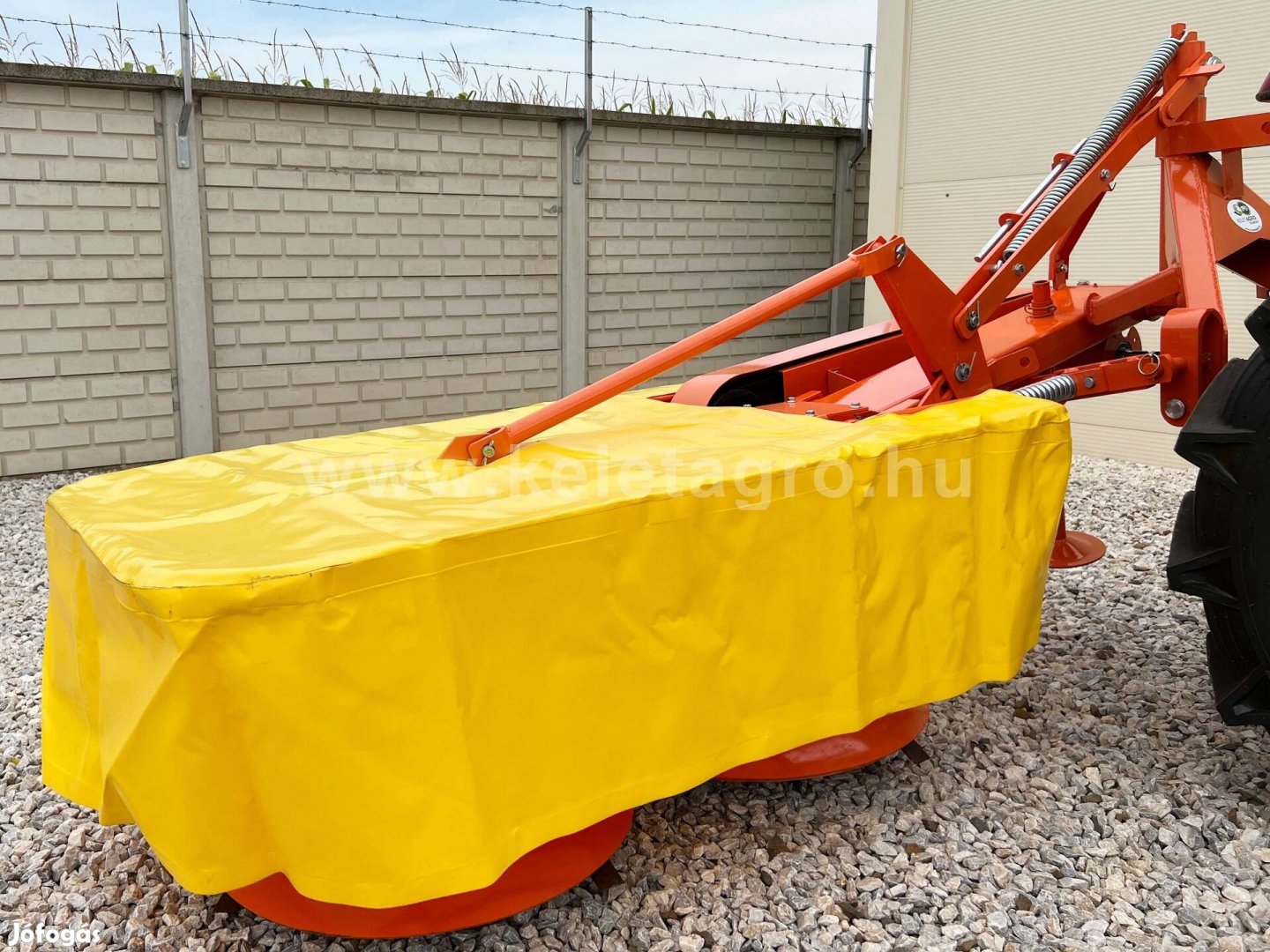 Dobkasza 135cm