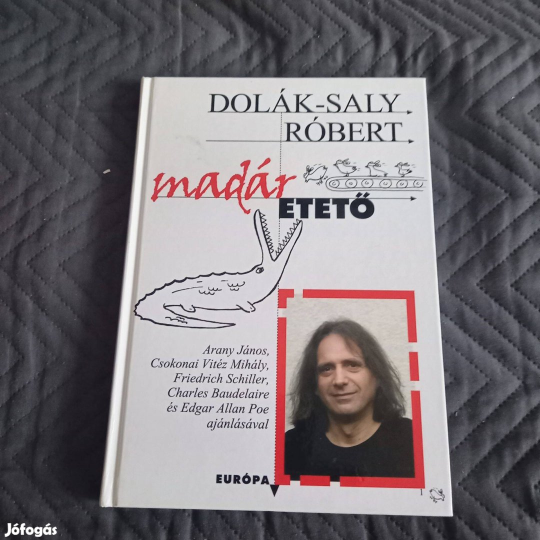 Dolák-Saly Róbert: Madáretető