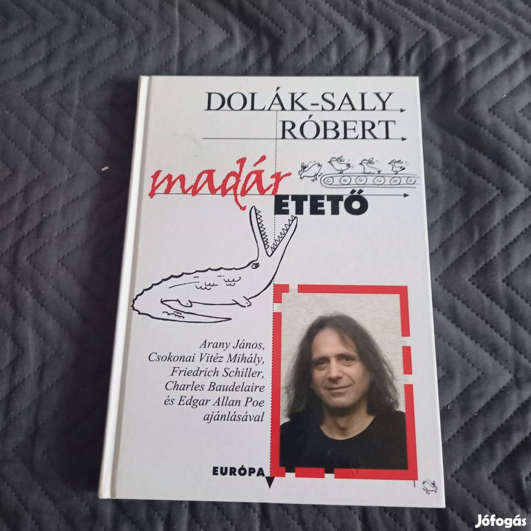 Dolák-Saly Róbert Madáretető