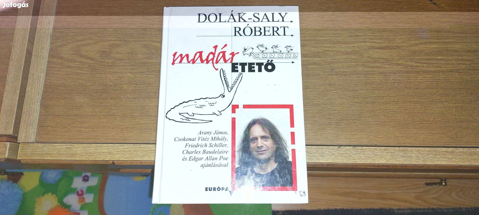 Dolák-Saly Róbert - Madáretető