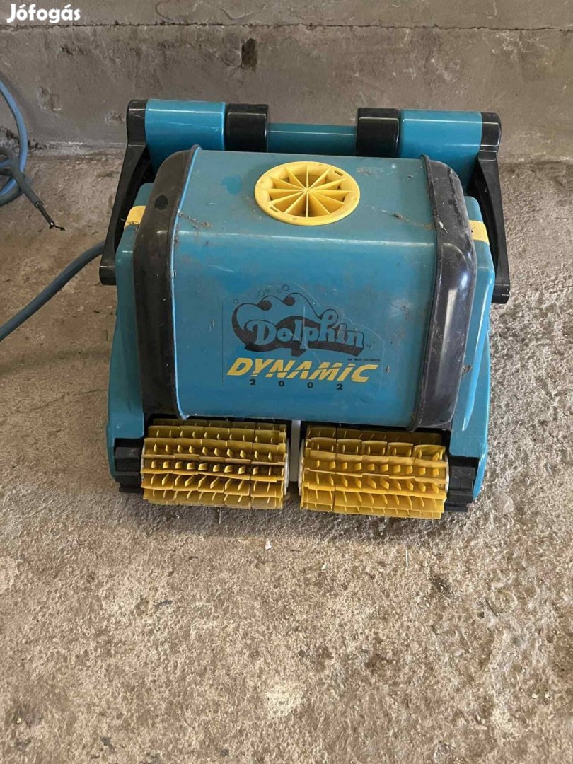 Dolphin Dynamic medence robot!