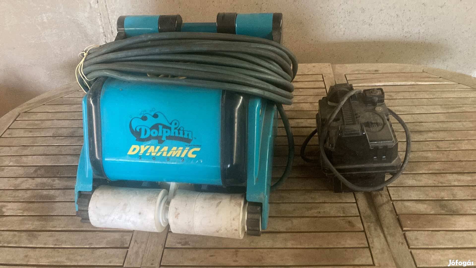 Dolphin medence robot!