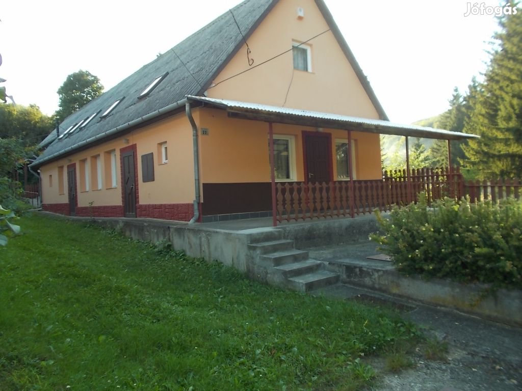 Domaháza, Dózsa György út, 260 m2-es, családi ház, 4 szobás