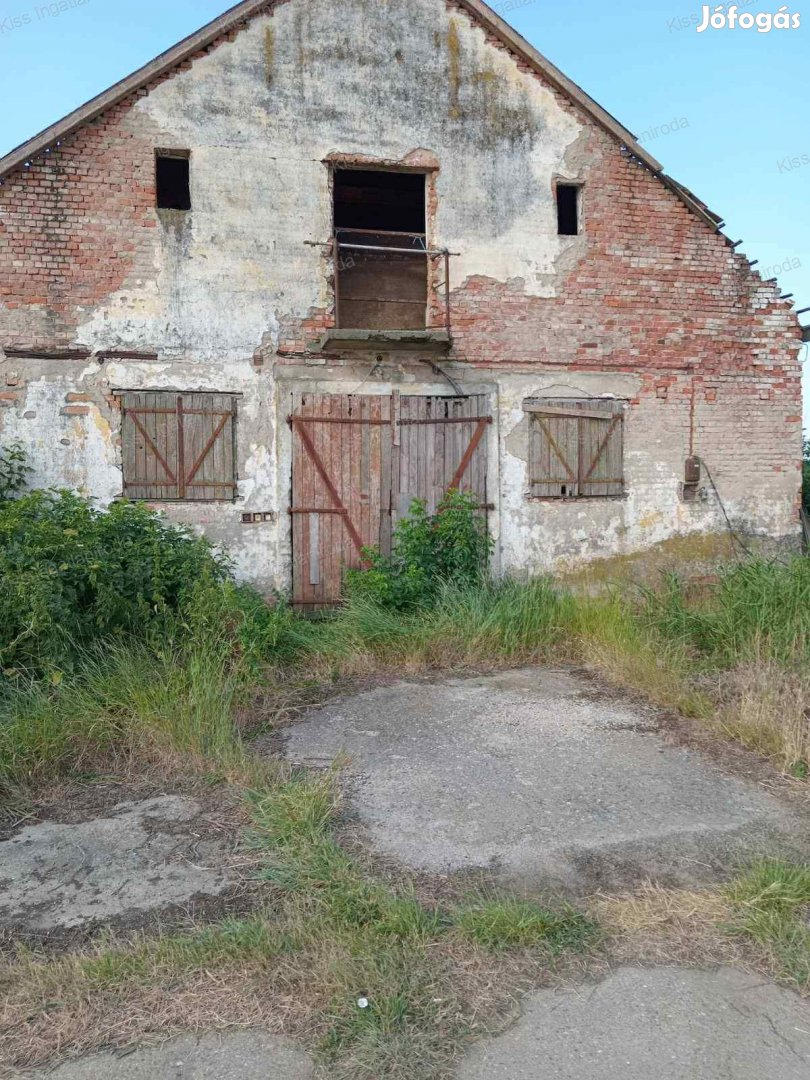 Dombegyház - 1,5 hektáron GAZDASÁGI ÉPÜLET 50 állásos