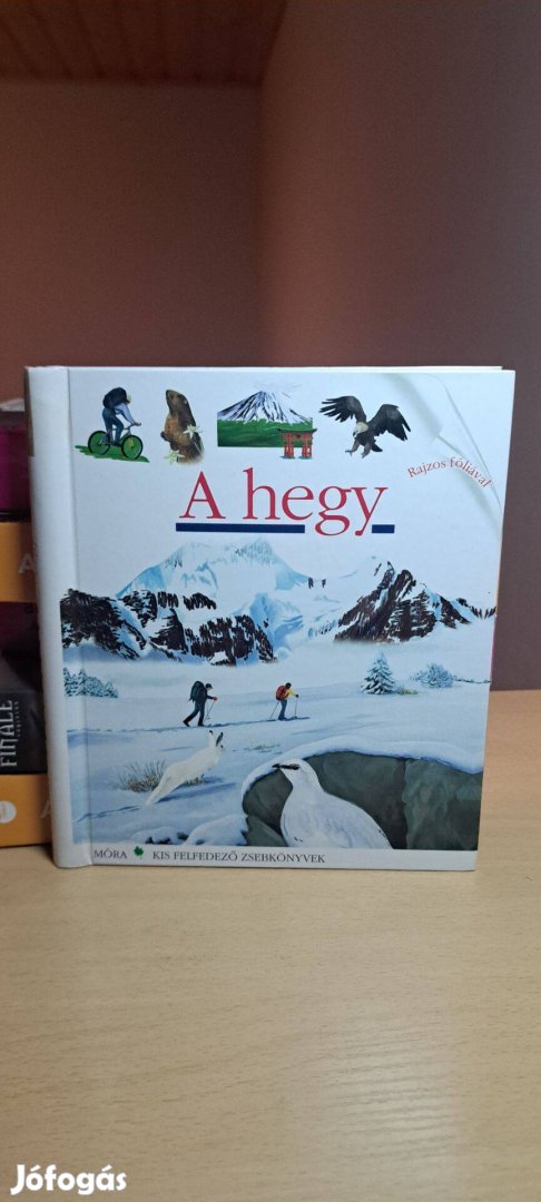 Dominique Joly: A hegy