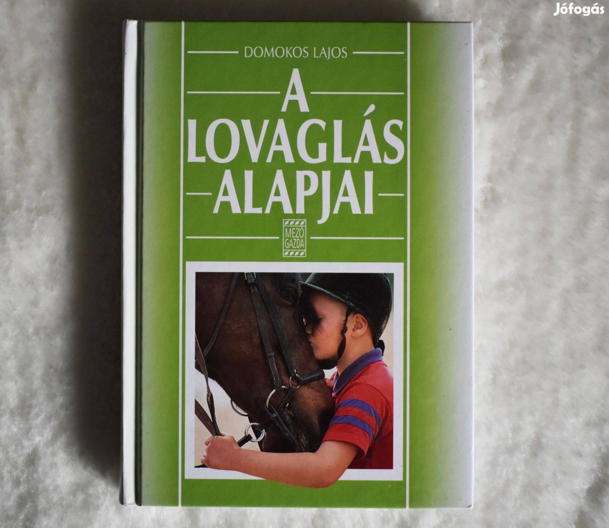 Domokos Lajos: A lovaglás alapjai