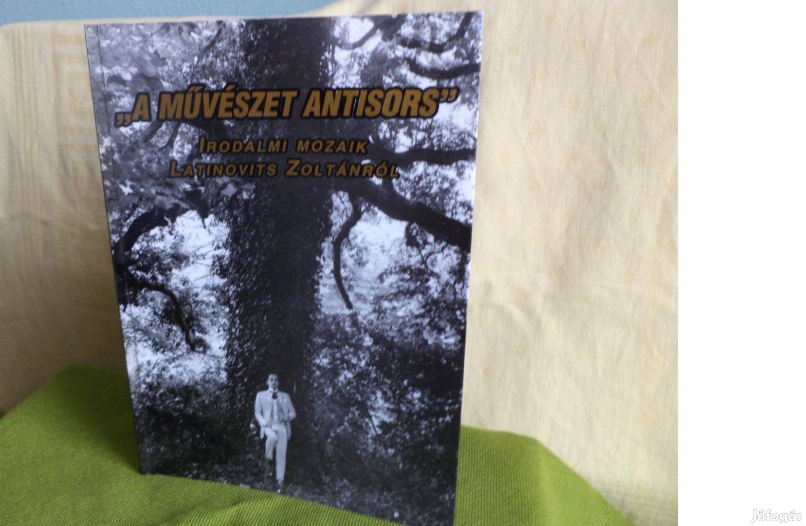 Dömötör Adrienne ,, Művészeti antisors"