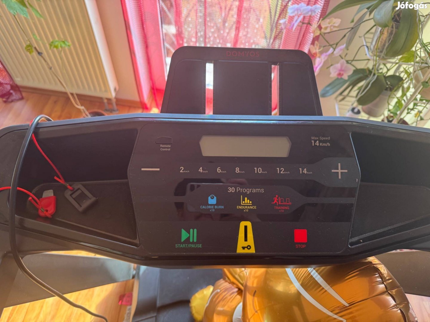 Domyos run100 futópad 2020