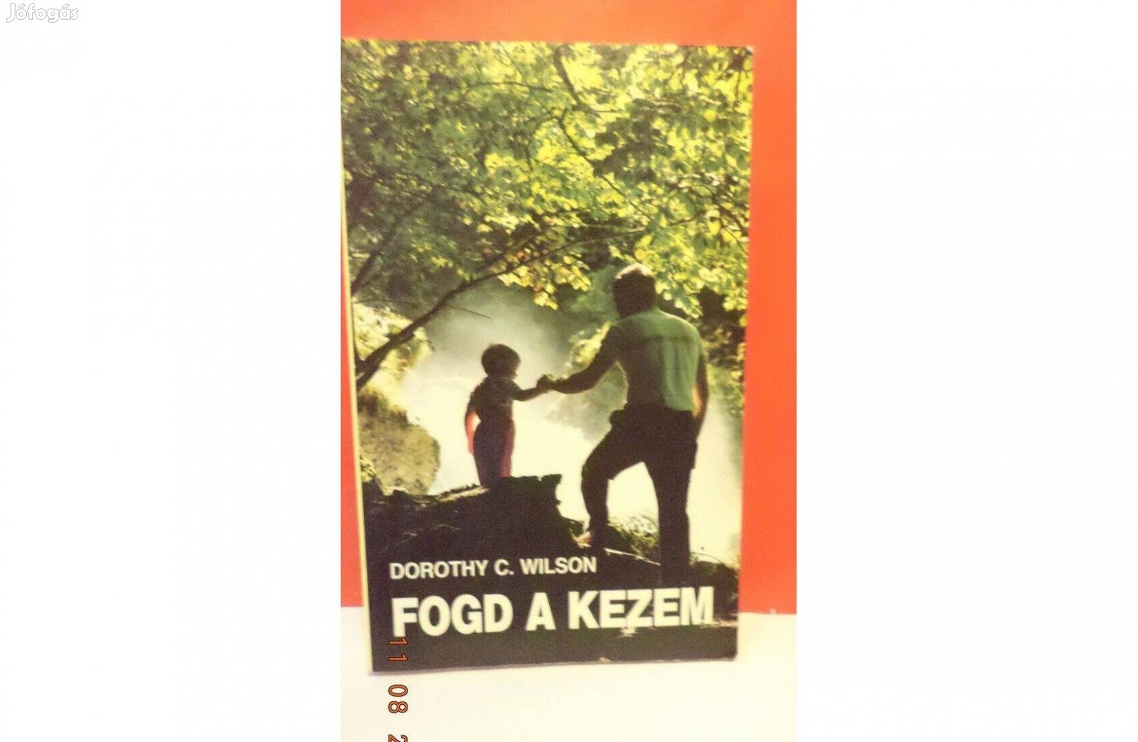 Dorozhy C. Wilson: Fogd a kezem