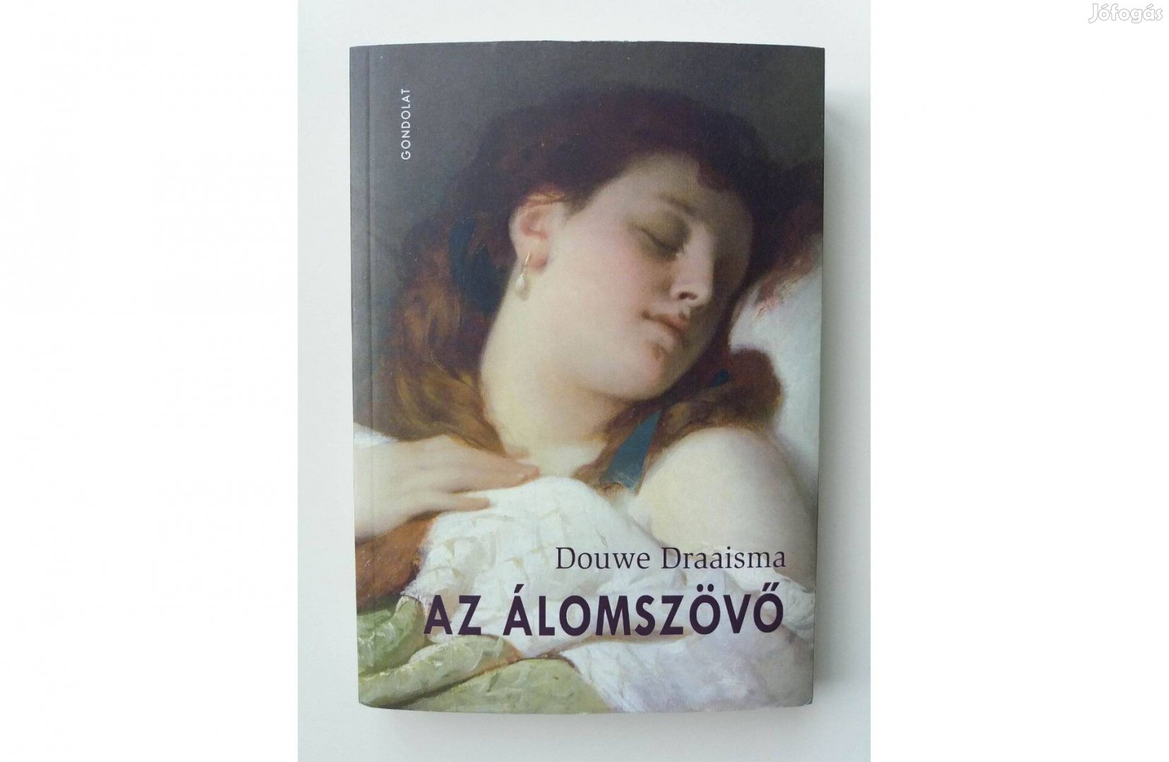 Douwe Draaisma - Az álomszövő