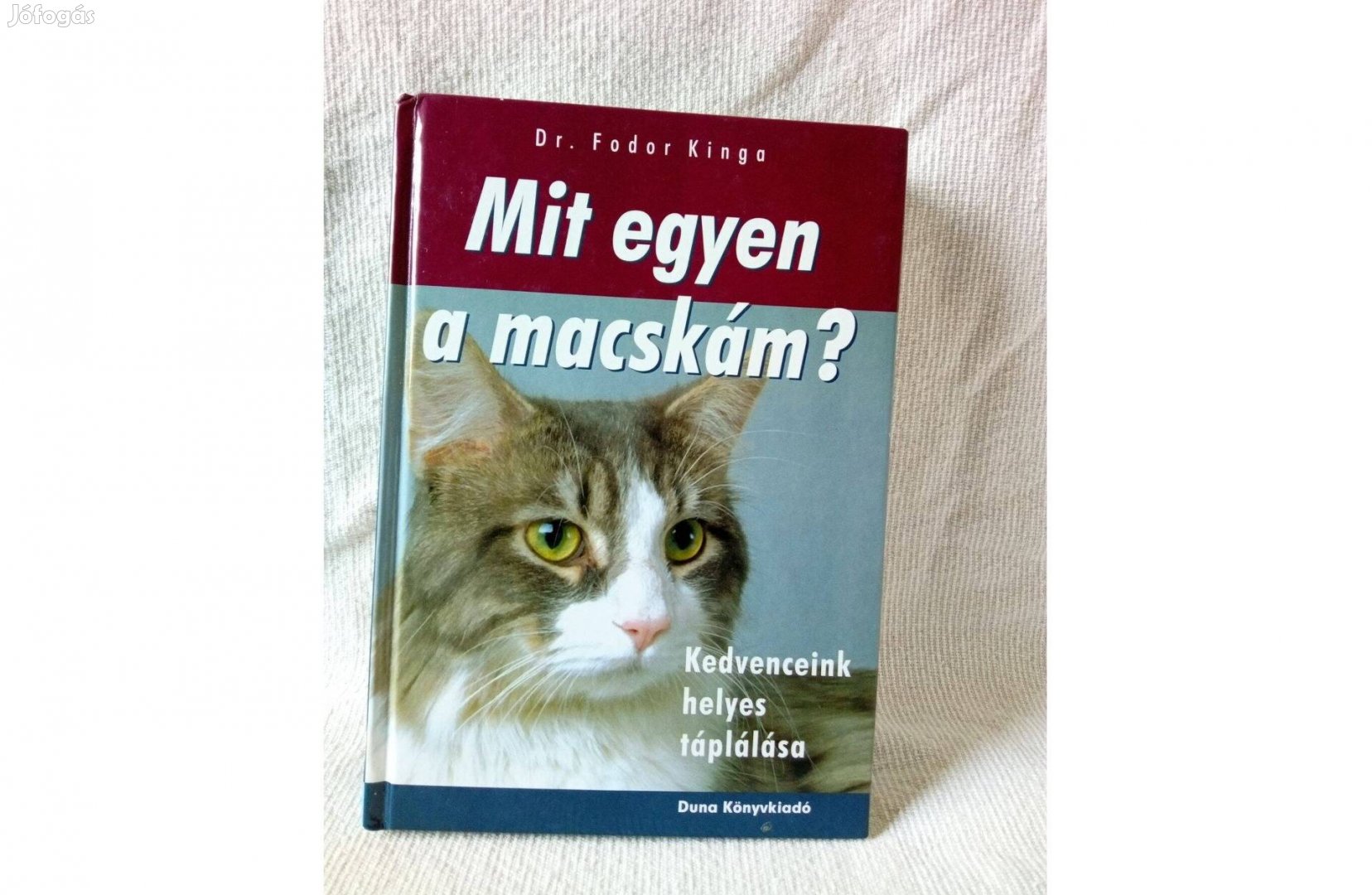 Dr Fodor Kinga Mit egyen a macskám?