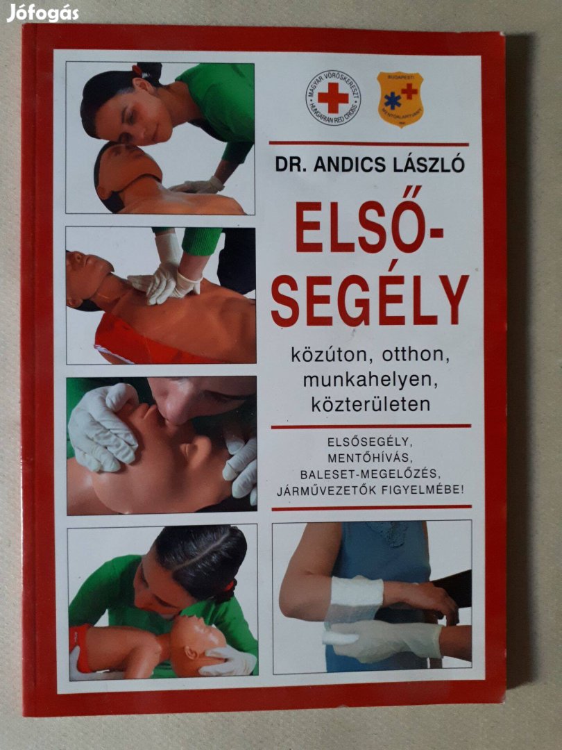 Dr. Andics László: Elsősegély közúton, otthon, munkahelyen, közterület