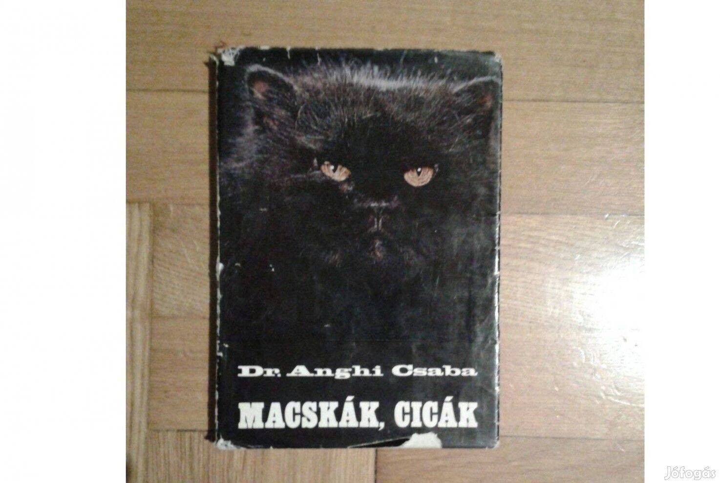 Dr. Anghi Csaba Macskák, cicák