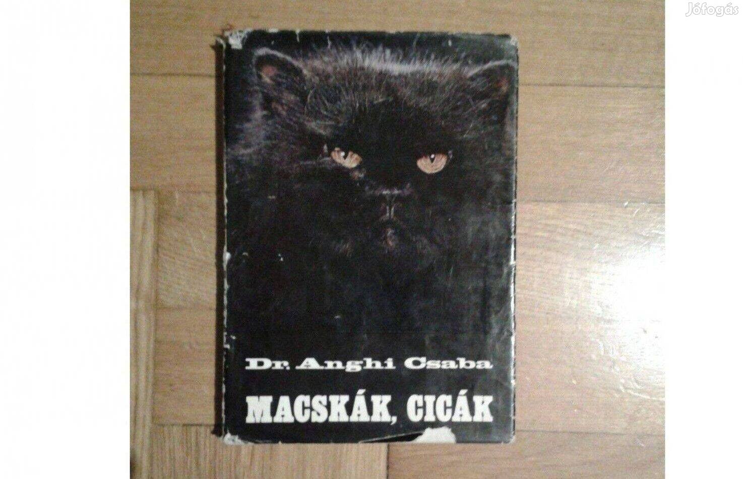 Dr. Anghi Csaba: Macskák, cicák