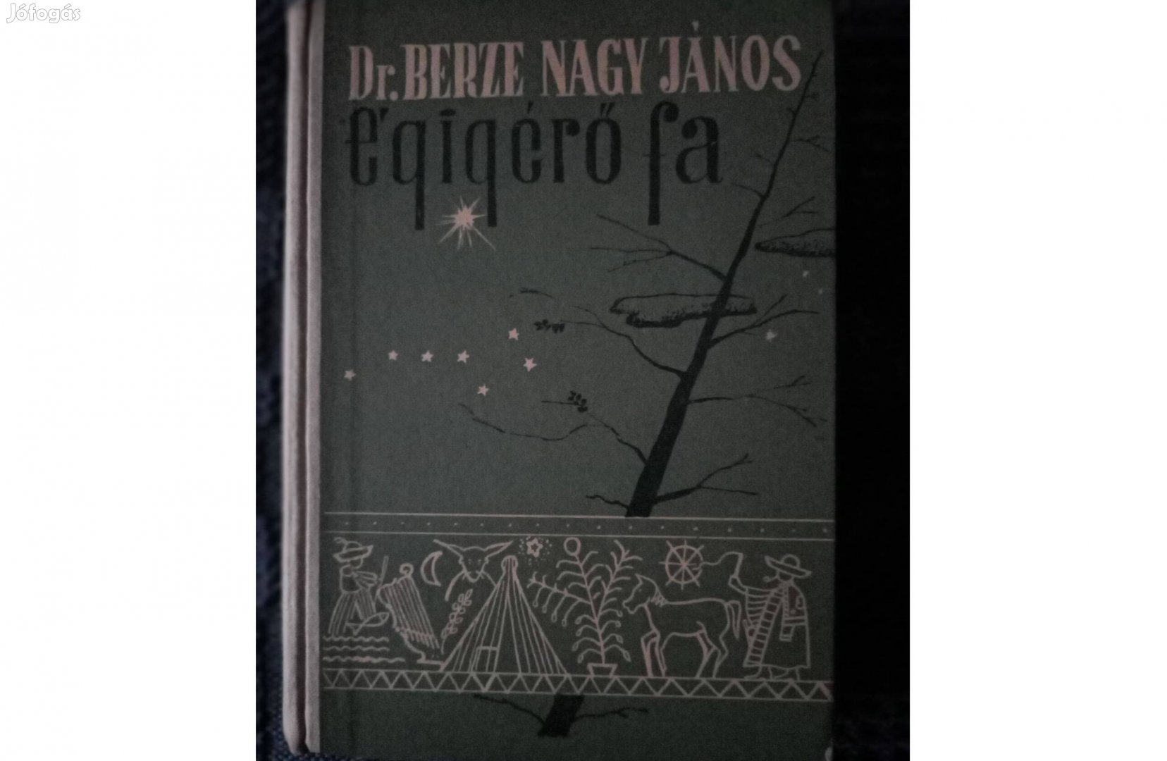 Dr. Berze Nagy János: Égigérő fa című antikvár könyv eladó