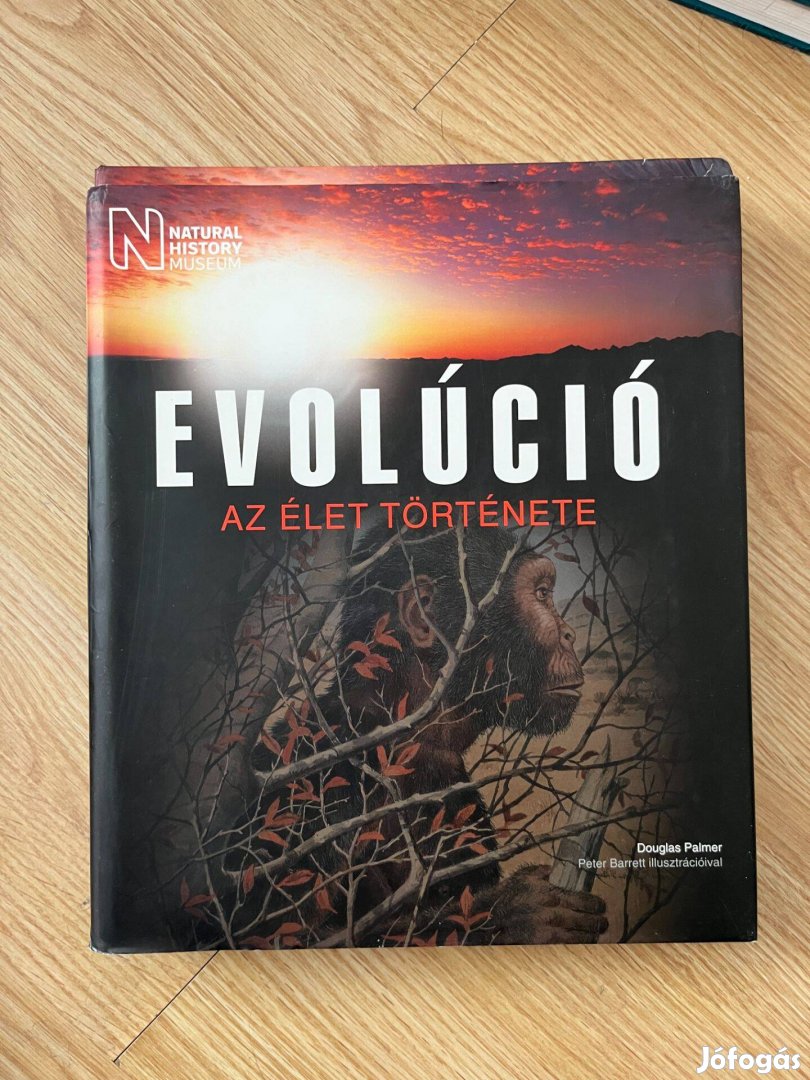 Dr. Douglas Palmer - Evolúció, Az élet története