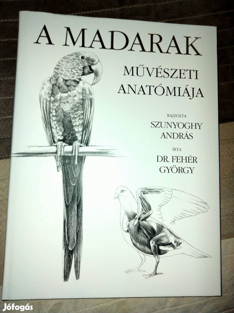 Dr. Fehér György- Szunyogh András : A madarak művészeti anatómiája