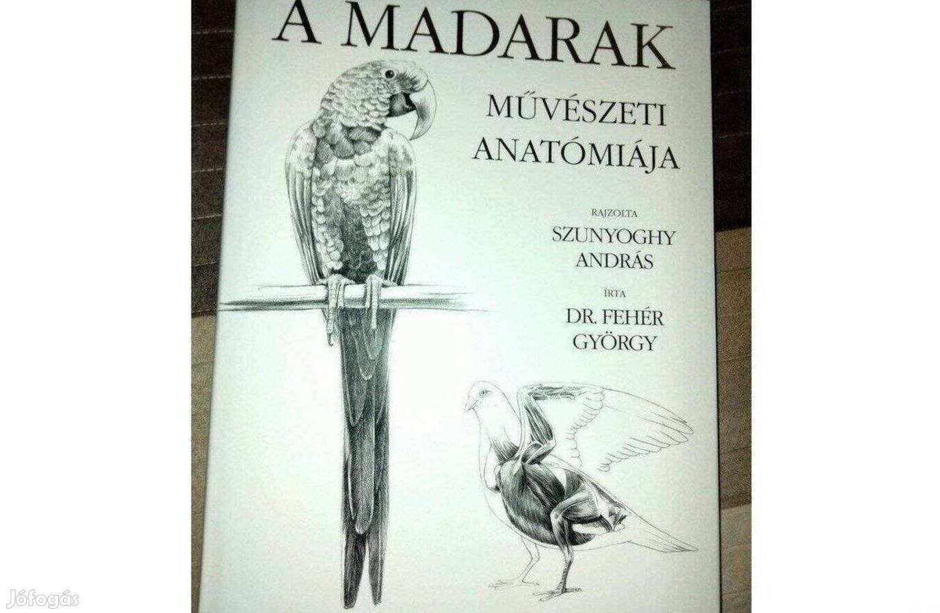 Dr. Fehér György A madarak művészeti anatómiája