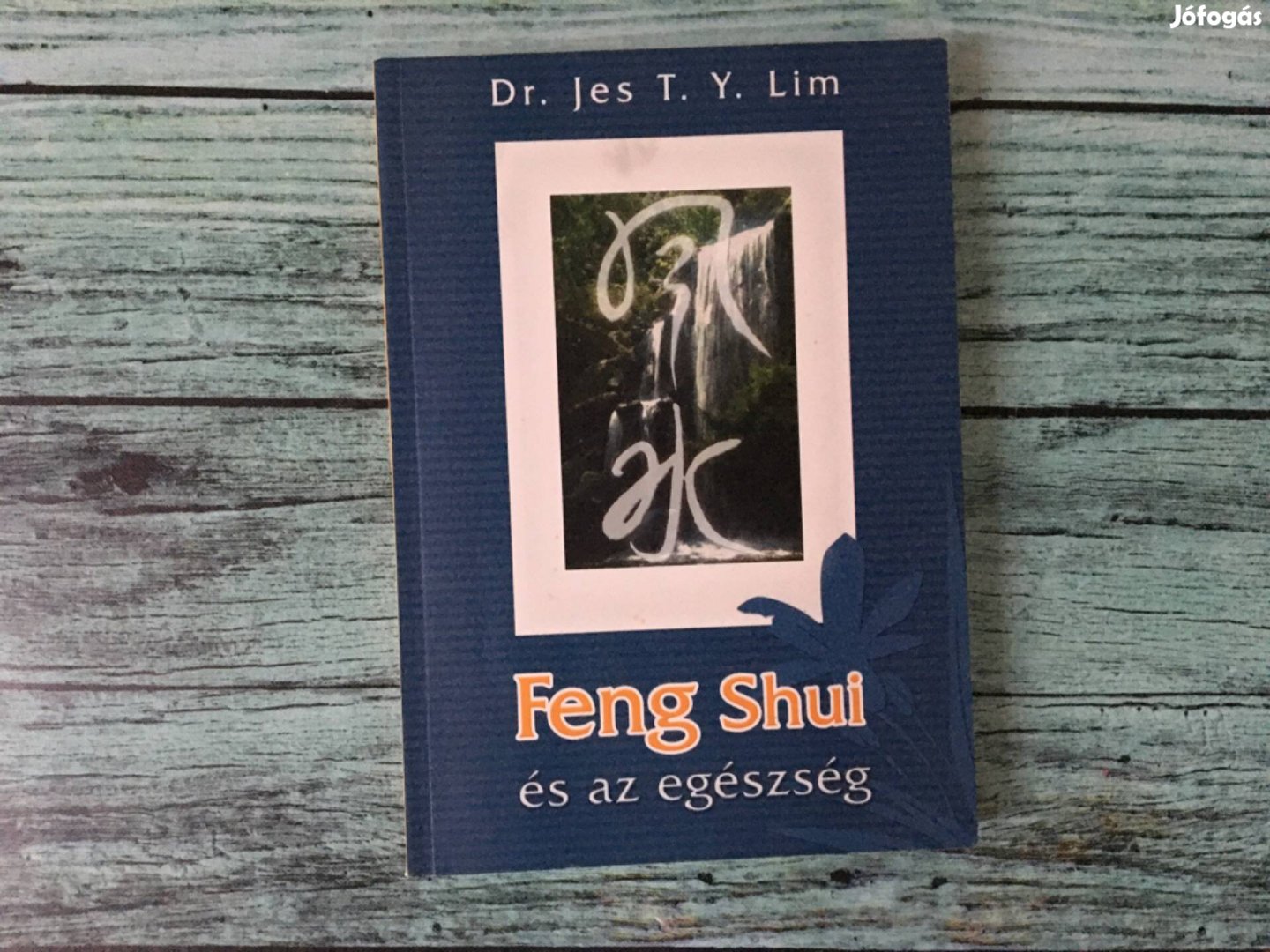 Dr. Jes T.Y. Lim: Feng shui és az egészség