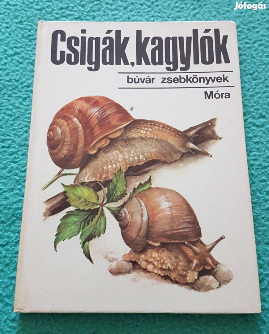 Dr. Krolopp Endre - Csigák, kagylók könyv