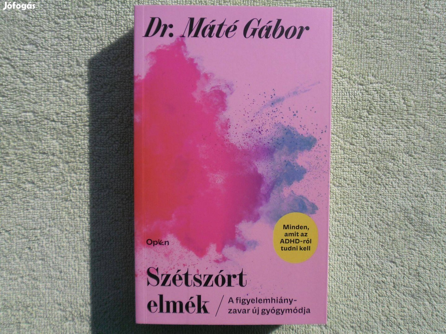 Dr. Máté Gábor: Szétszórt elmék