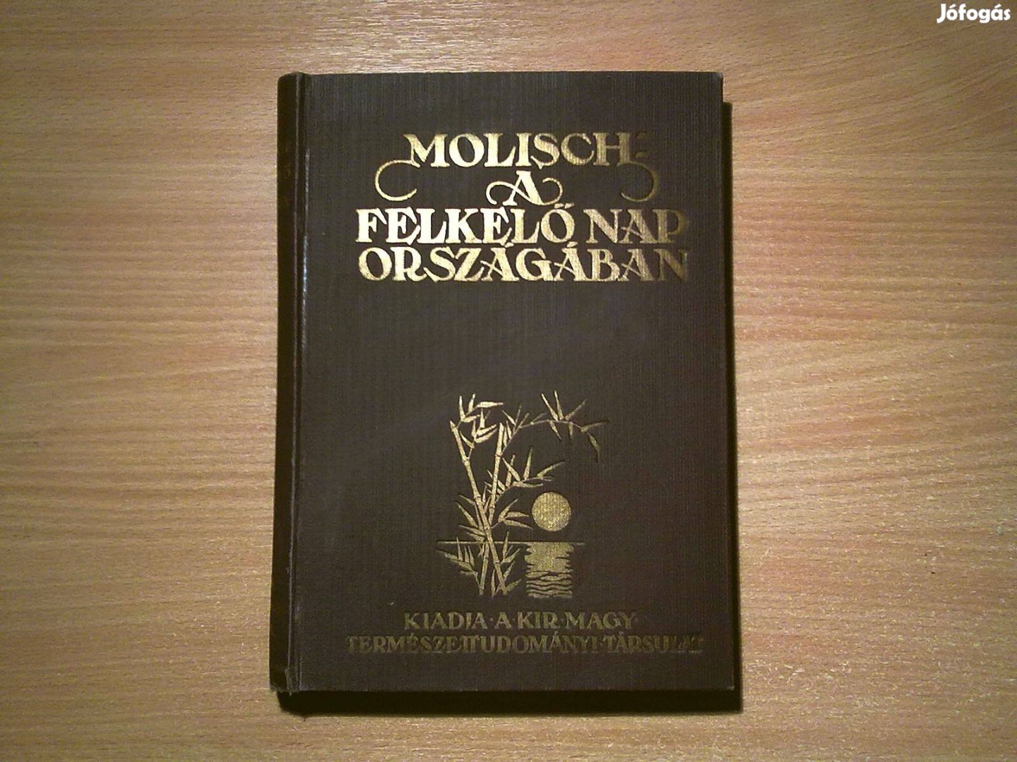 Dr. Molisch Hans: A felkelő nap országában (1930)