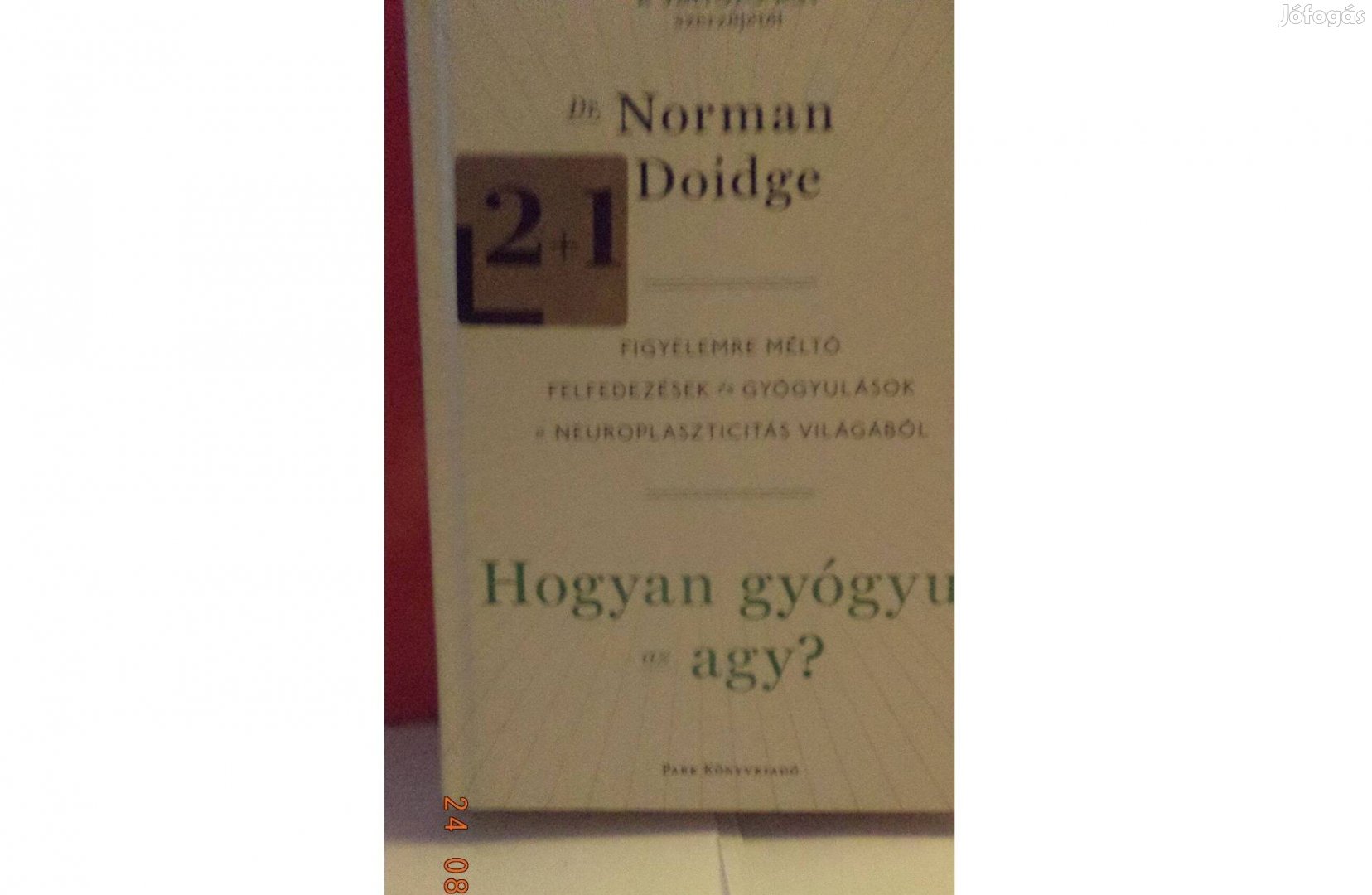 Dr. Norman Doidbe: Hogyan gyógyul az agy?