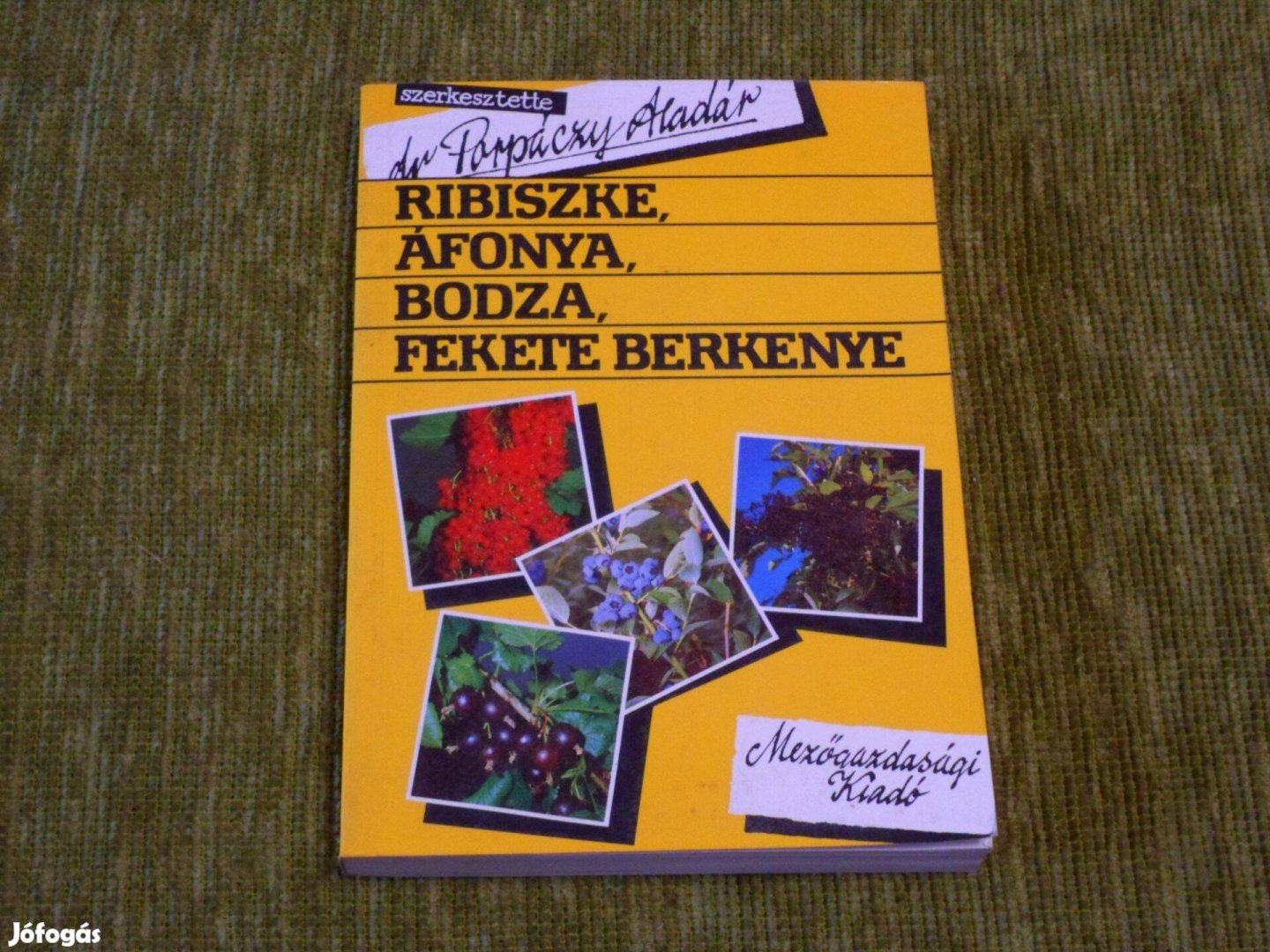 Dr. Porpáczy Aladár: Ribiszke, áfonya, bodza, fekete berkenye
