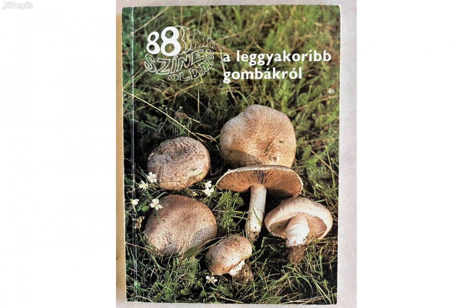 Dr. Rimóczi: 88 színes oldal a leggyakoribb gombákról című könyv eladó