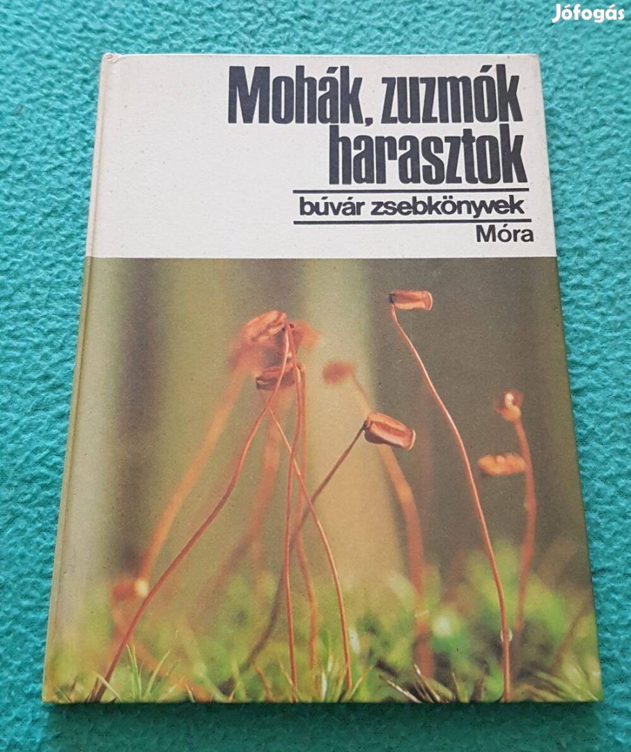 Dr. Simon Tibor: Mohák, zuzmók, harasztok könyv (Búvár zsebkönyvek)