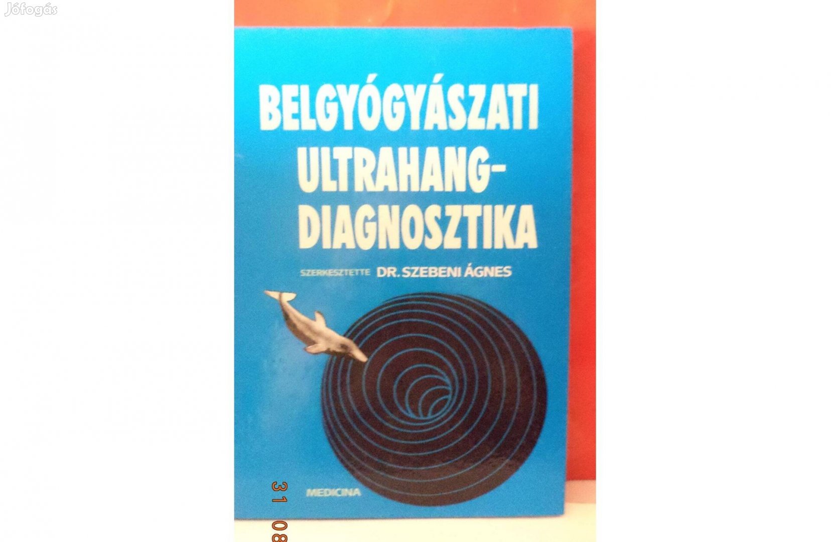 Dr. Szebeni Ágnes: Belgyógyászati ultrahangdiagnosztika