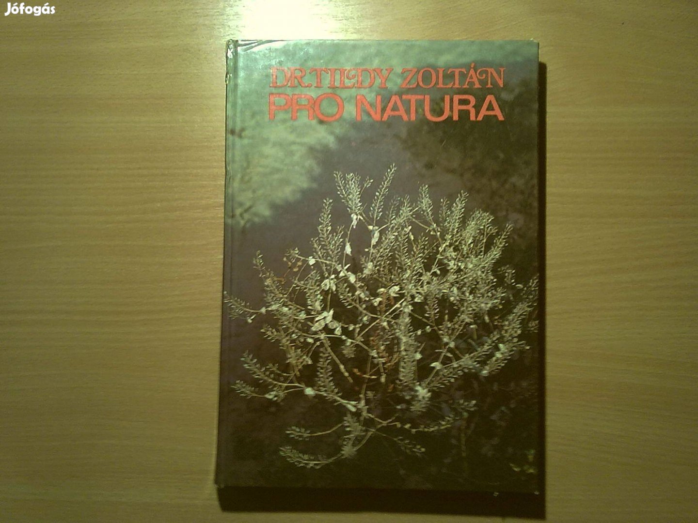 Dr. Tildy Zoltán: Pro Natura (tiszta természet)